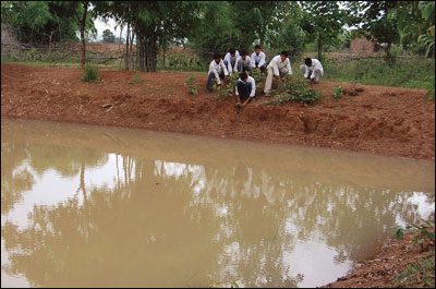Fish pond provides protein to villagers