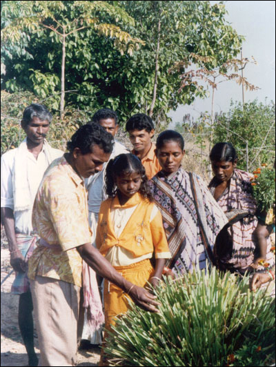Group Looking at Plant