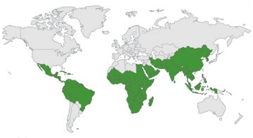 World map - where Moringa grows