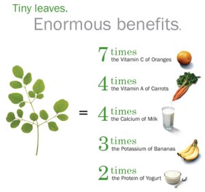 moringa benefits