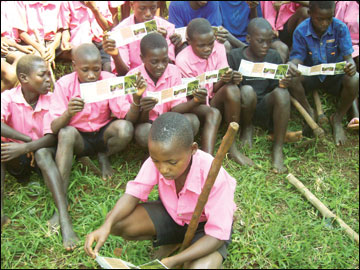 Pupils reading Moringa leaflets